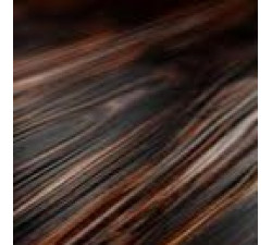 Noyer noir +59.00€